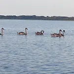 Fótos