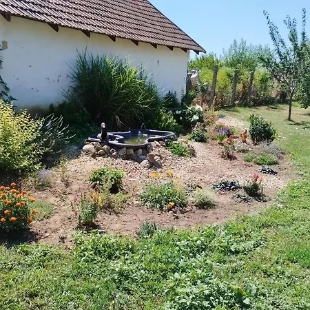 Apartament Fotos Vendeghaz